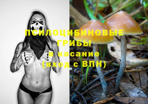 не бодяженный Богданович