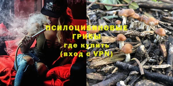 не бодяженный Богданович