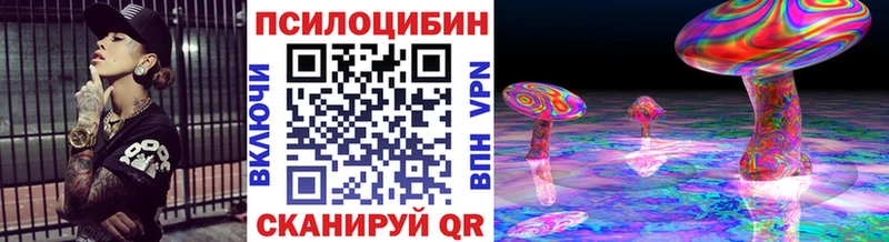 Псилоцибиновые грибы Psilocybe  Старый Оскол 